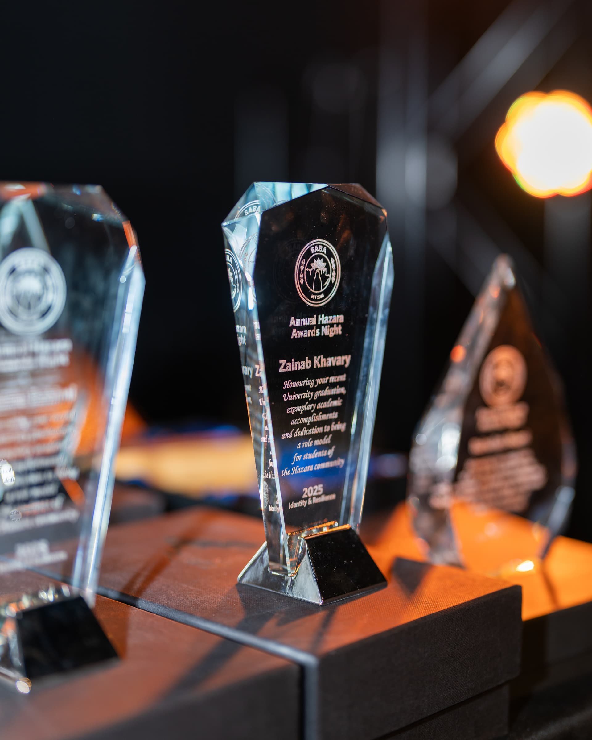 Annual Hazara Awards Night 2025 , Photo 1